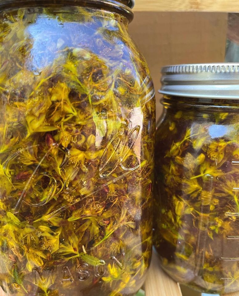 Herbs for Medicine and Magick: Making Infused Oils