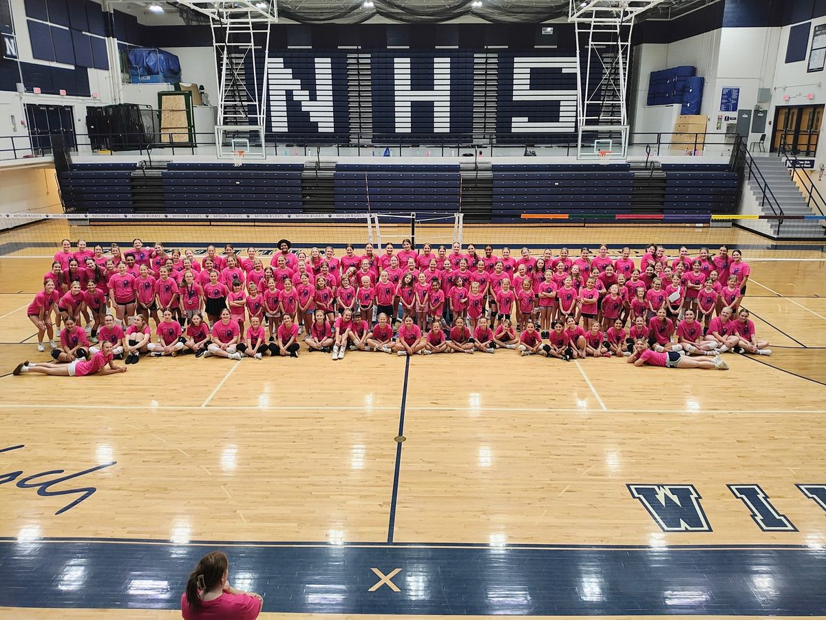 Napoleon Volleyball Kids Camp