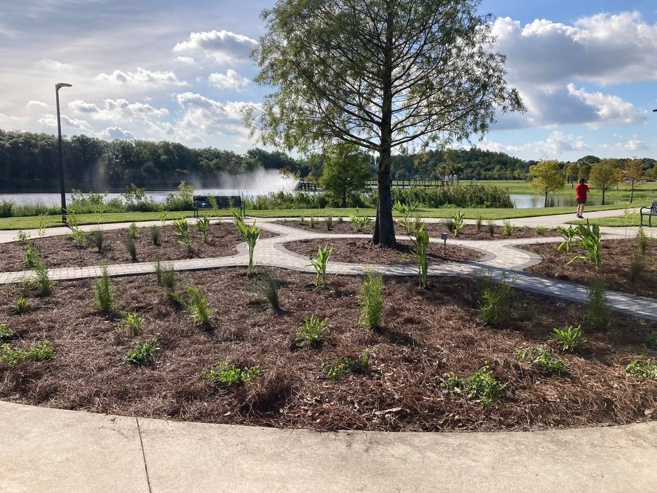 Butterfly Garden Maintenance at Carrollwood Village Park