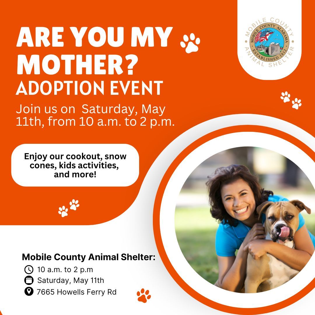 Are You My Mother? Pet Adoption Event