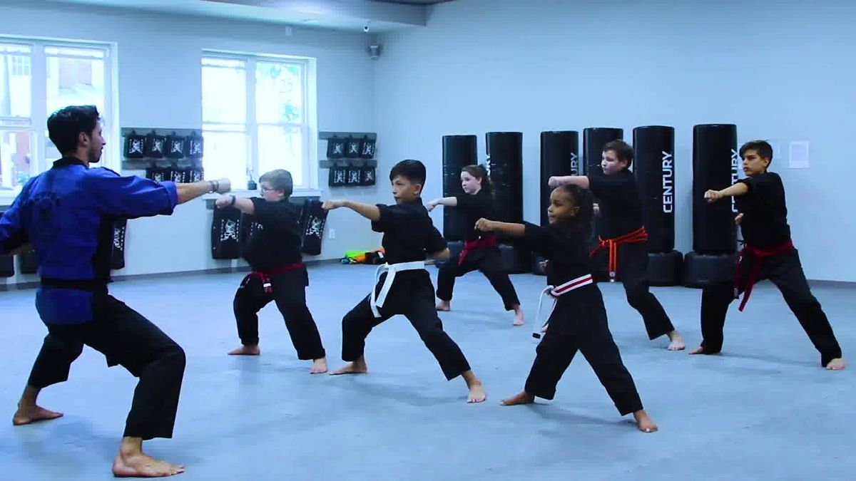 Kids Karate Class at Whitman Library