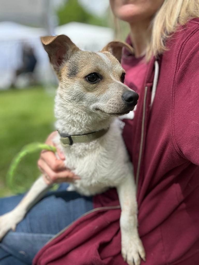 Adoption Event at Coastal Farm and Ranch - Auburn