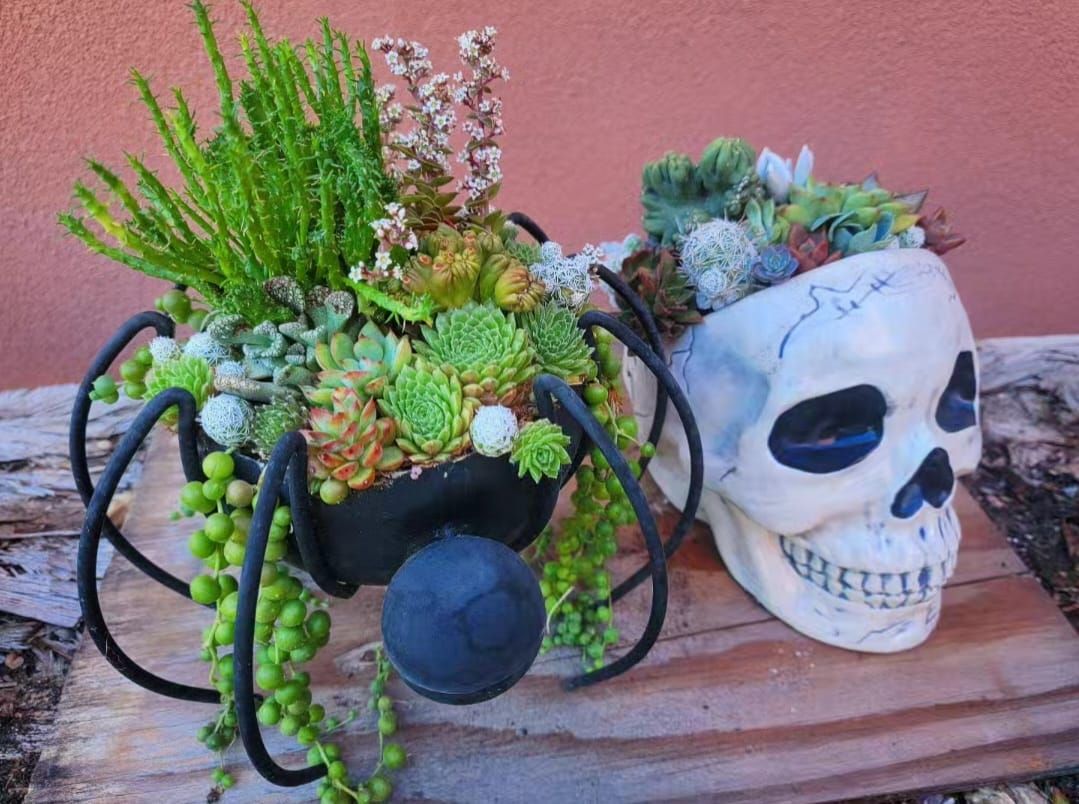 Hallowen Planter Workshop At Burning Beard