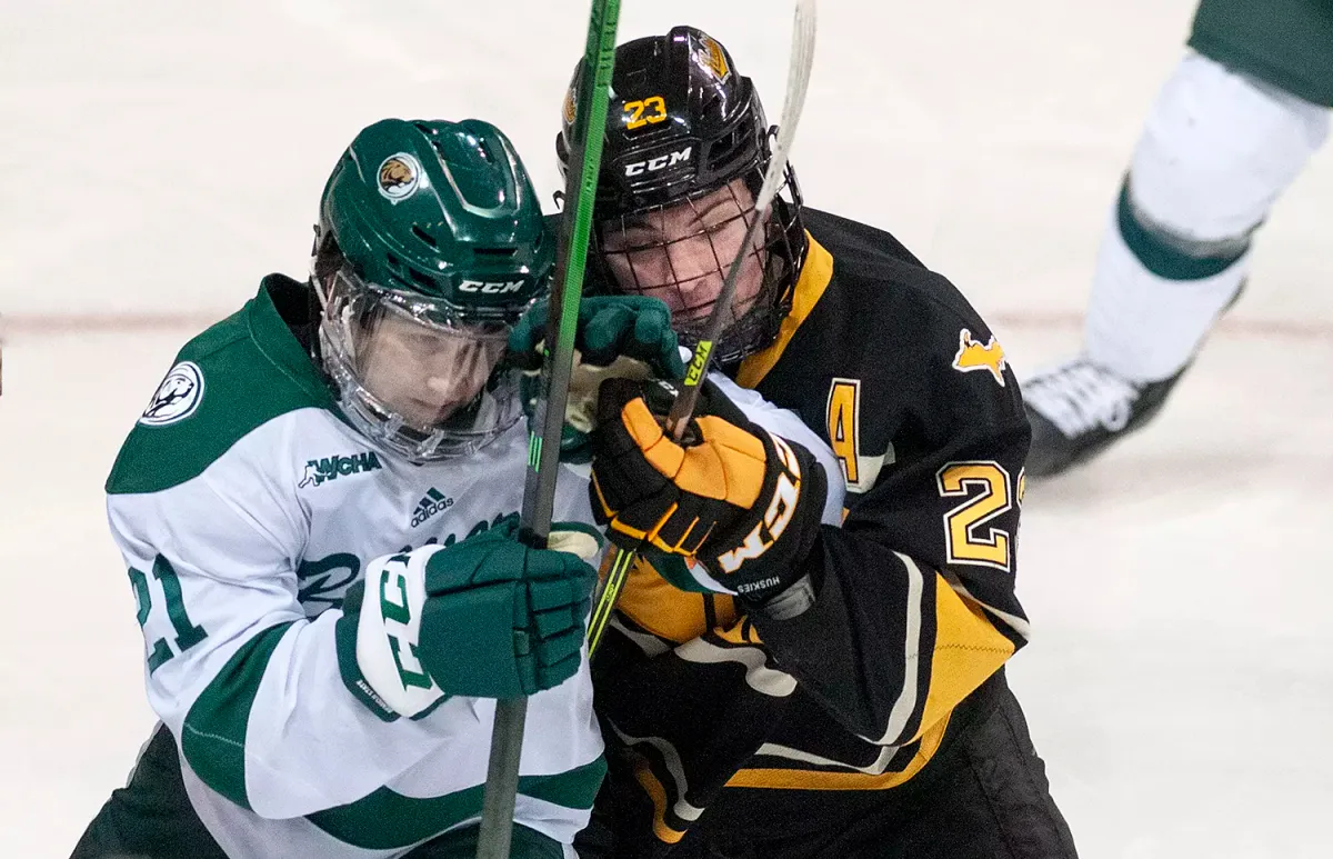 Lake Superior State Lakers at Bemidji State Beavers Mens Hockey