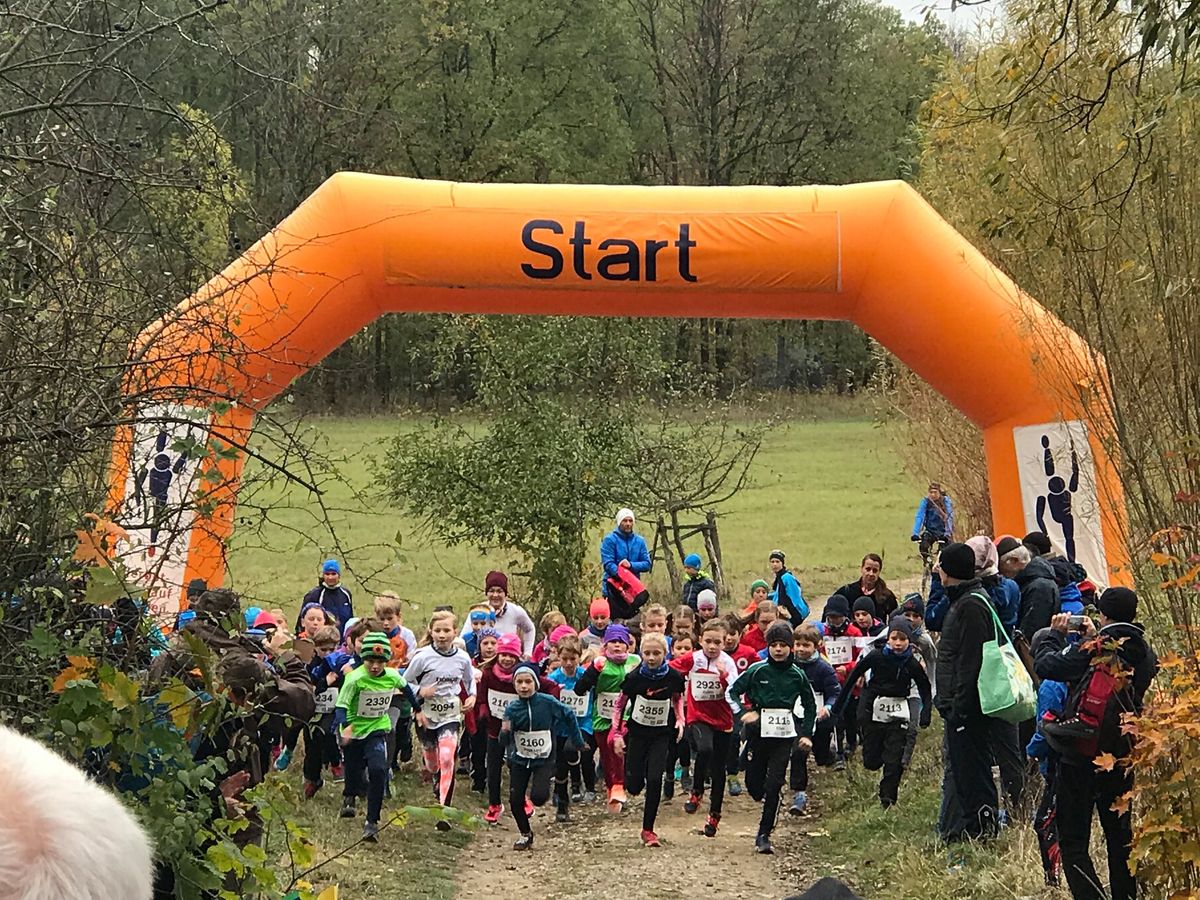 67. Herbstwaldlauf des Skiklubs Dresden-Niedersedlitz und Hofewiese-TRAIL