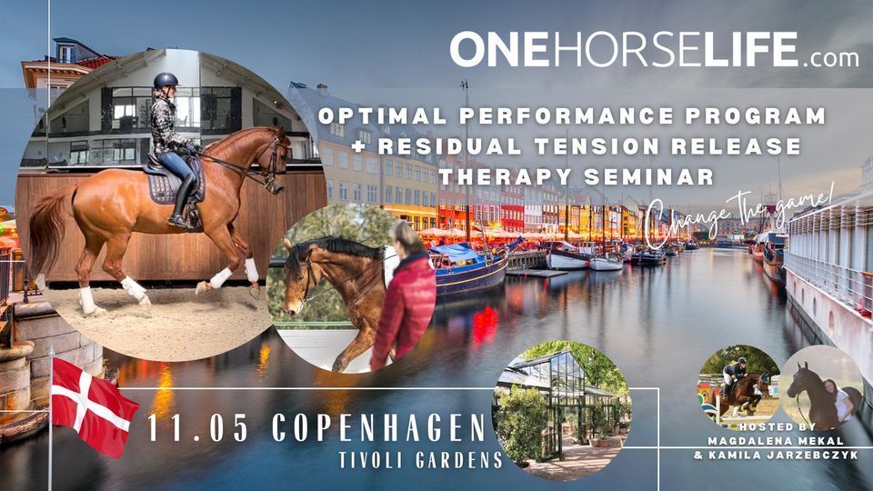 ONEHORSELIFE OPTIMAL PERFORMANCE PROGRAM + RTRT: THERPHY WITH THE BIT & LONG REINS