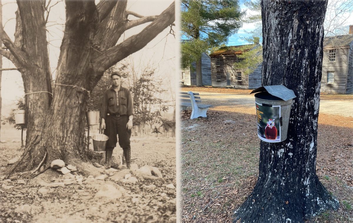 Maple Sugaring Day at Batsto Village