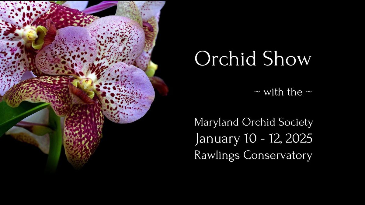 Orchid Show - with the Maryland Orchid Society