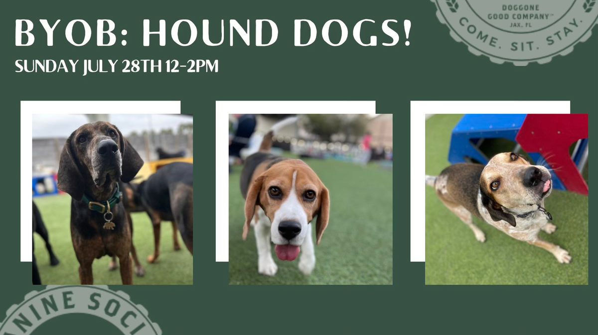 Bring Your Own Breed: Hound Dog Edition! 