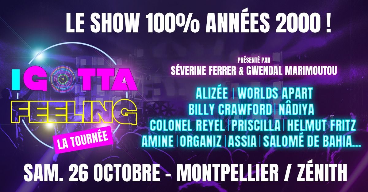 I GOTTA FEELING \/ MONTPELLIER