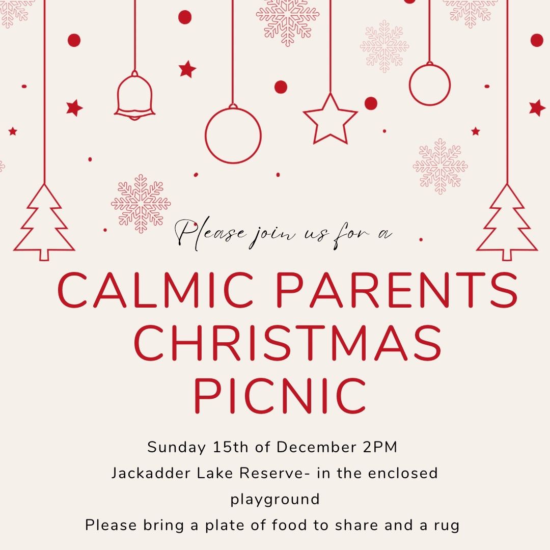 Christmas Picnic