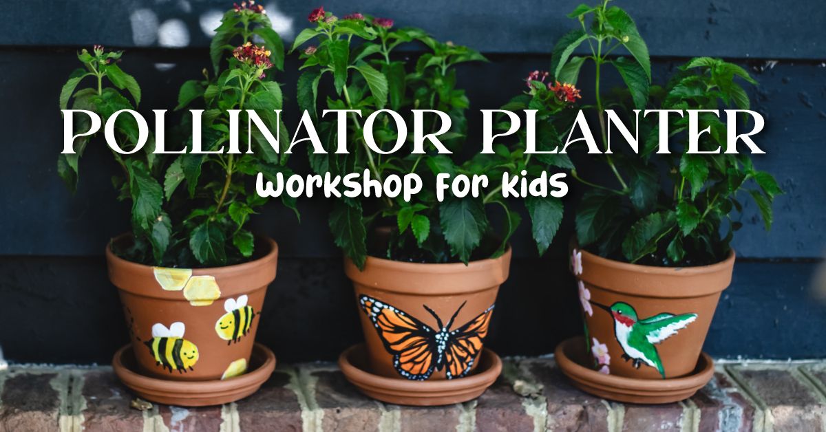 Pollinator Planter Workshop for Kids