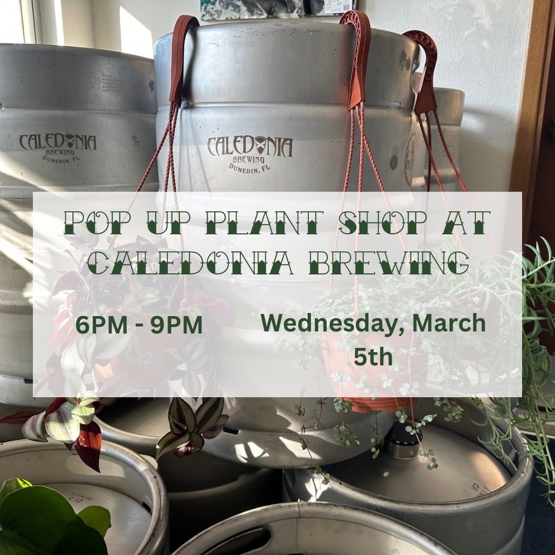 Pop Up Plant Shop at Caledonia Brewing