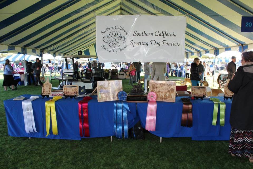 Souther California Sporting Dog Fanciers (SCSDF) Sporting Group Show