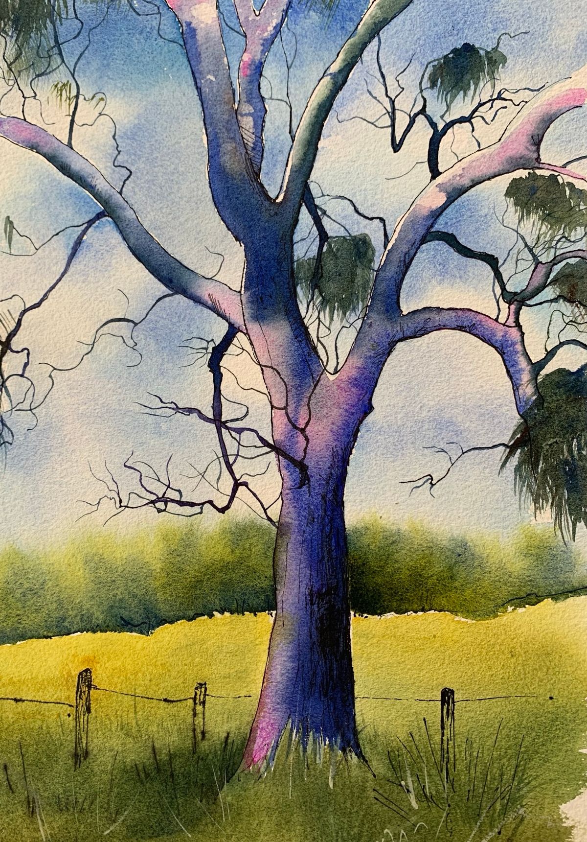 Watercolour Trees: Capturing Nature with Joanne Bingham, Artist