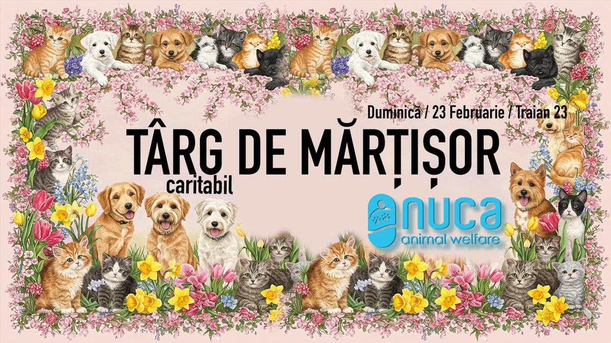 Targ caritabil de Martisor - eveniment Nuca