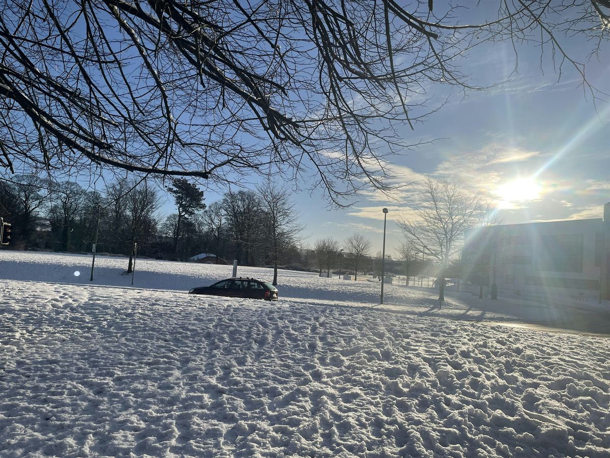 Winter Warming Flows: Poetry & Yoga