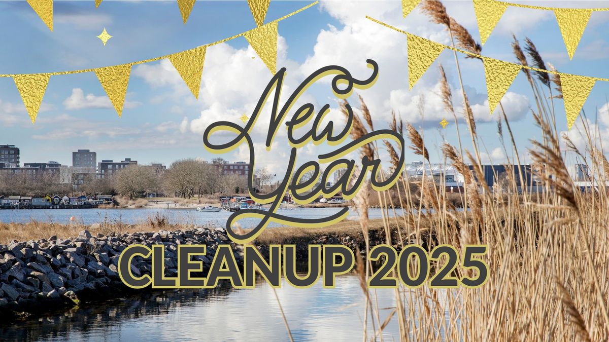 Affaldsindsamling: New Year Cleanup 2025