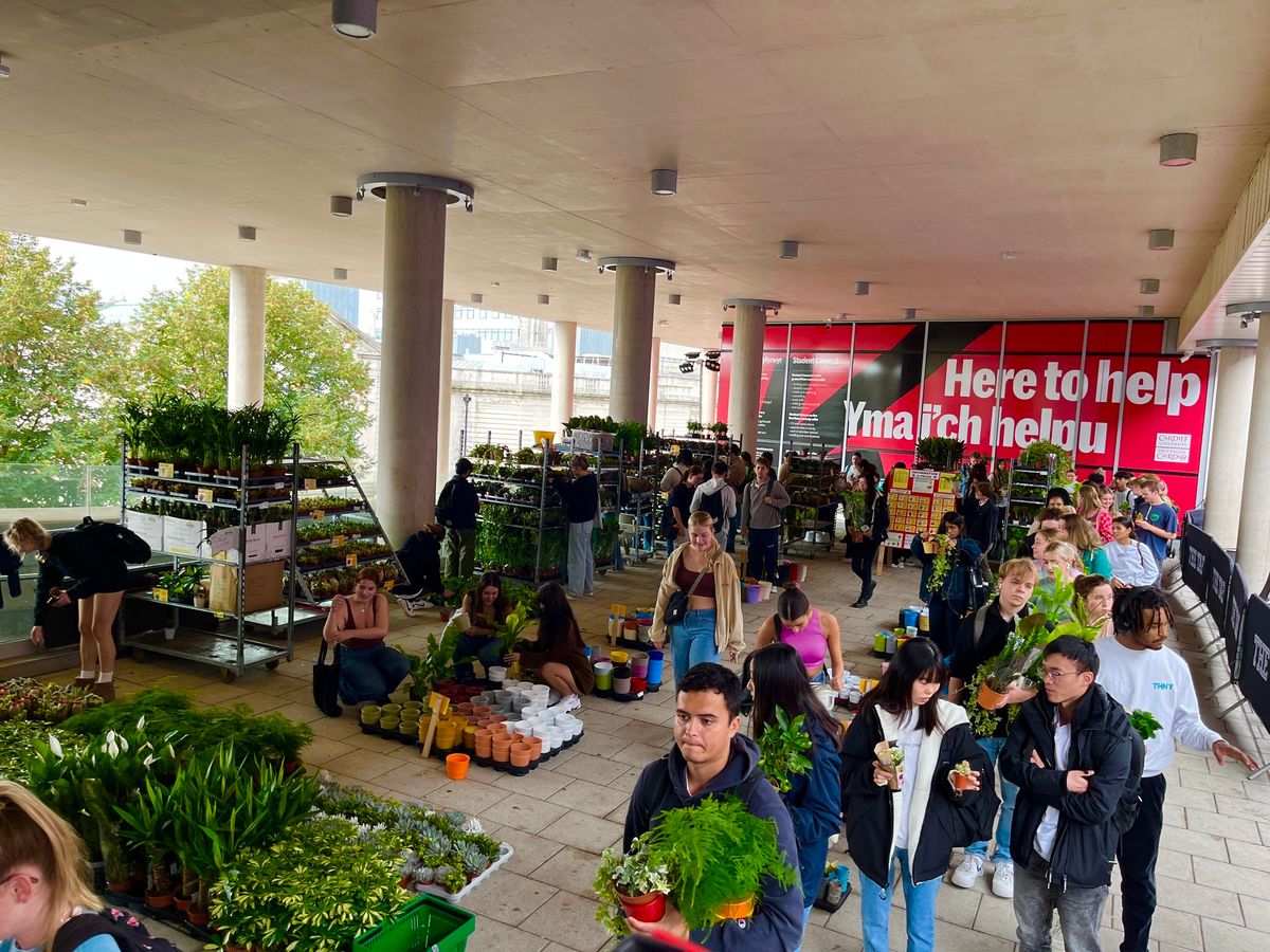 Houseplant Sale Market \/ University of Cardiff