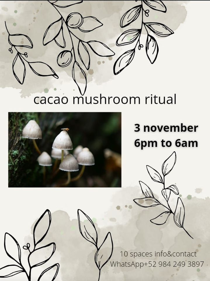 cacao mushroom ceremony