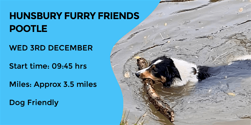 HUNSBURY POOTLE DOG PACK WALK | 3.5 MILES | MODERATE | NORTHANTS