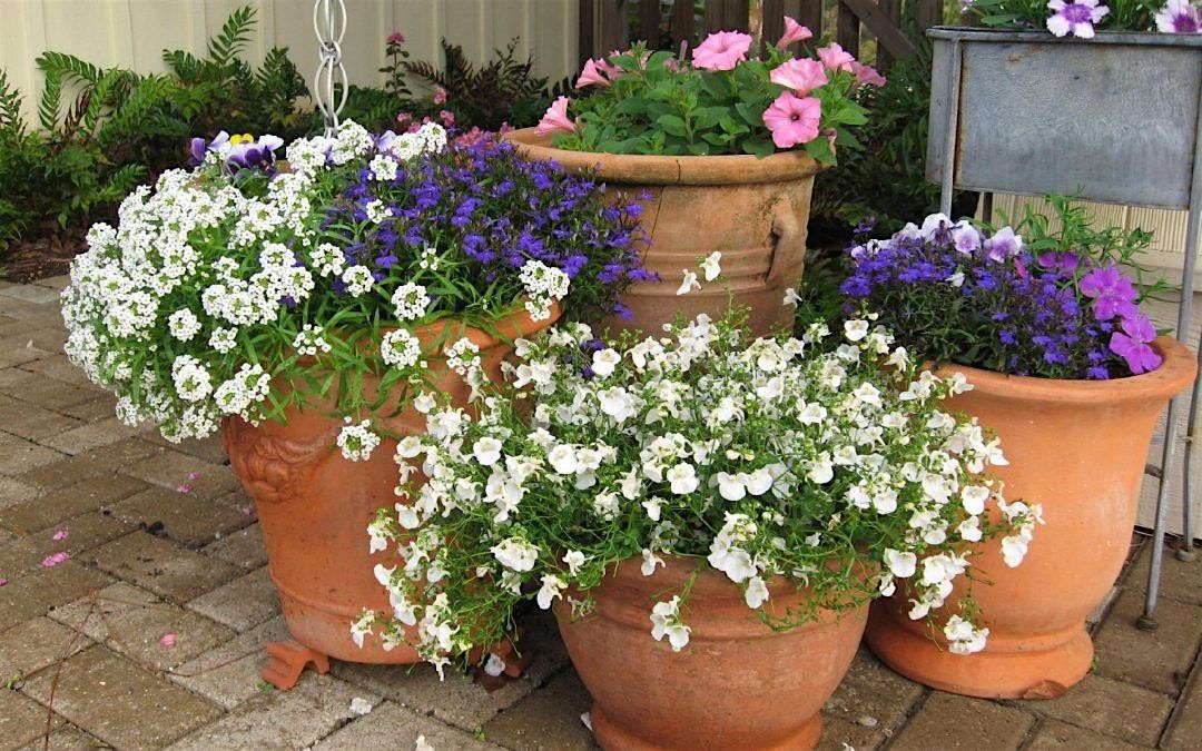 12-9-2025   Holiday Themed Container Gardening