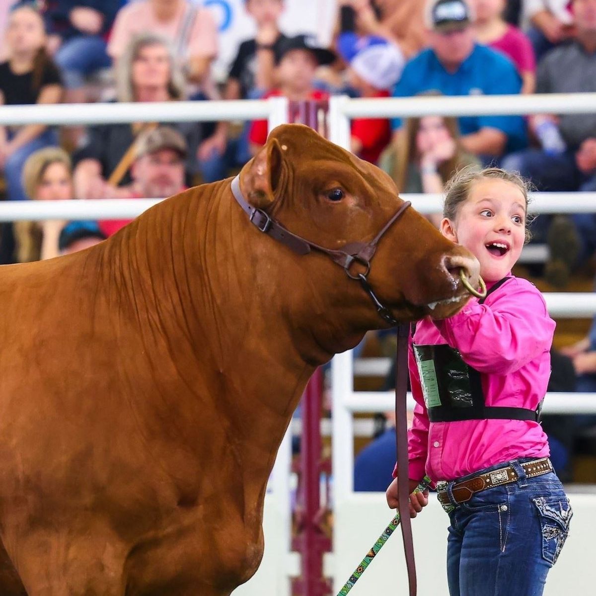 San Antonio Stock Show and Rodeo