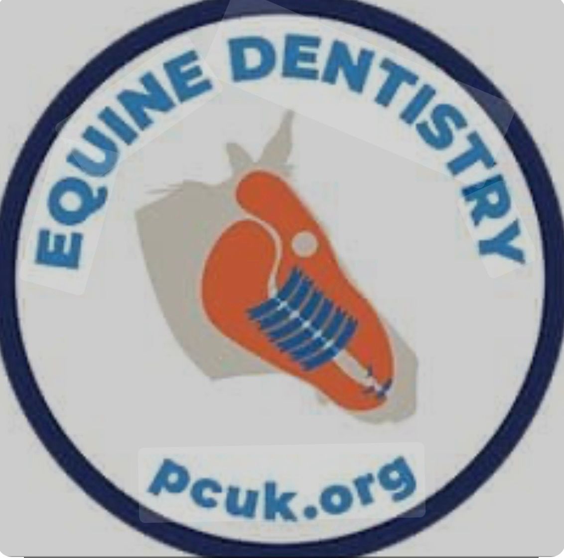 Dentistry Badge 7th October at Paragon vets Newbiggin