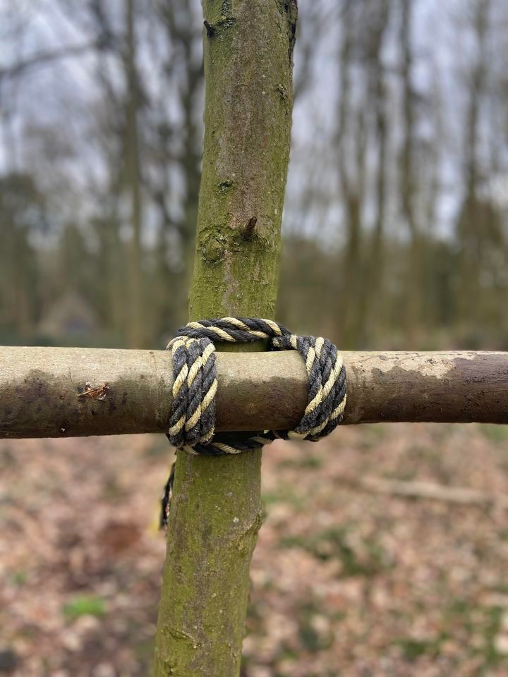 Forest School CPD - Rope Skills