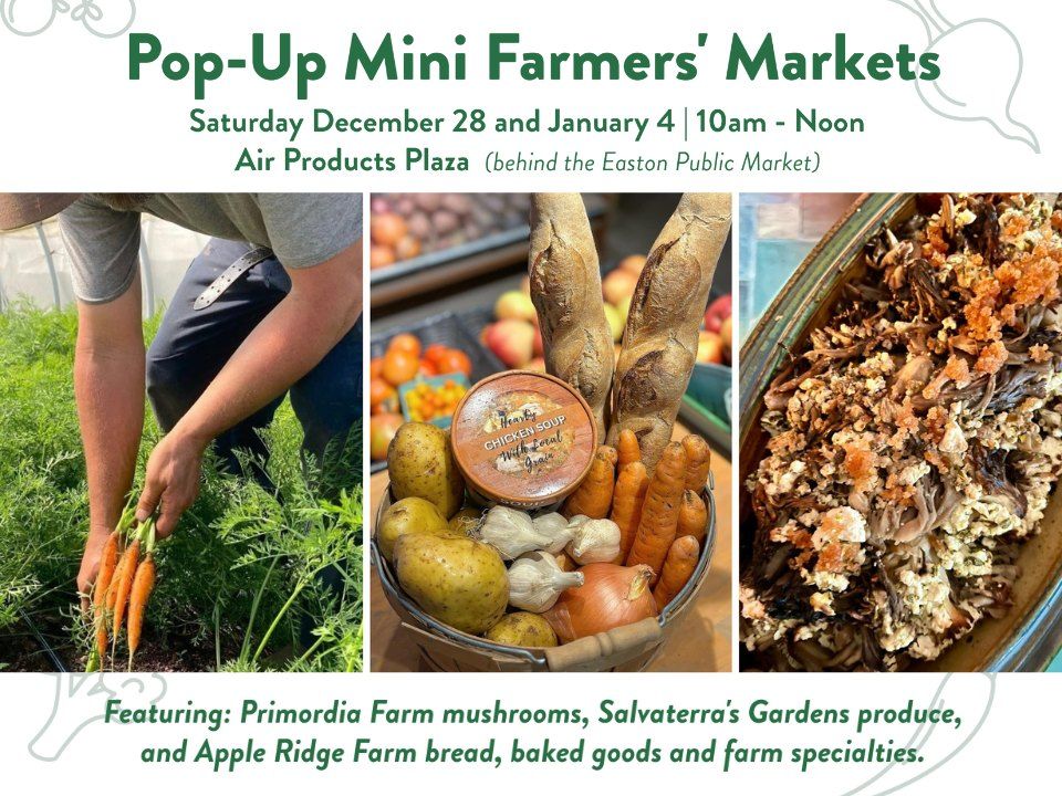 Mini Pop-Up Farmers' Market