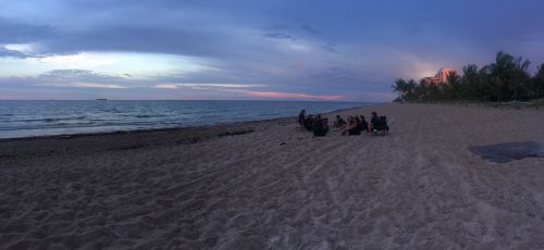 Turtle Trek- Educational Beach Walk