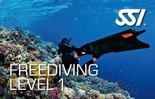 SSI Freediving Level One Course