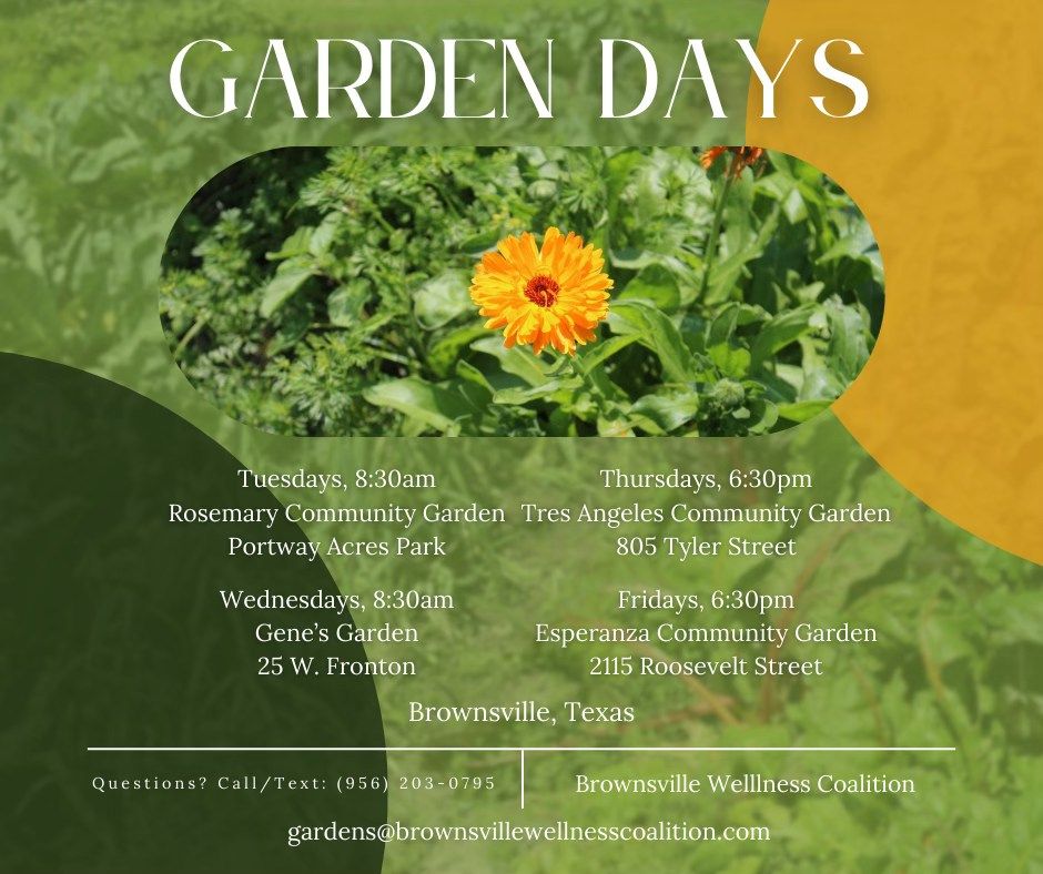 Garden Days | Rosemary Community Garden Portway Acres Park