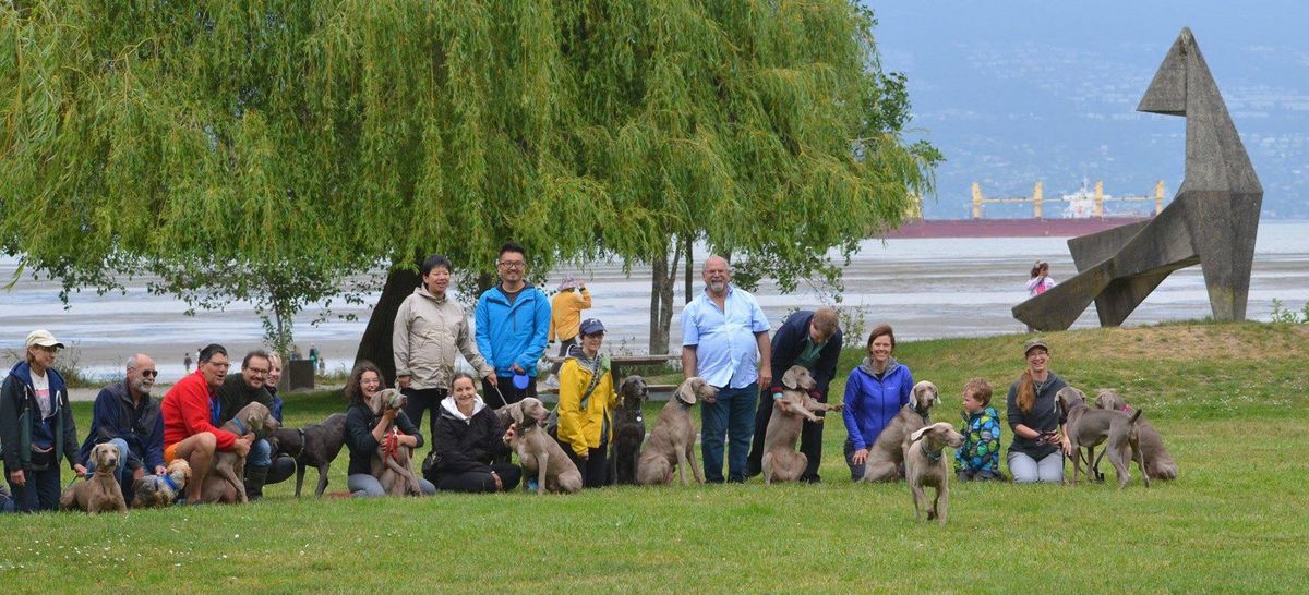 Matsqui Trails Weim Walk - Sunday, November 10, 2024 @ 10:30