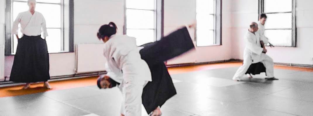 Aikido Intro Course