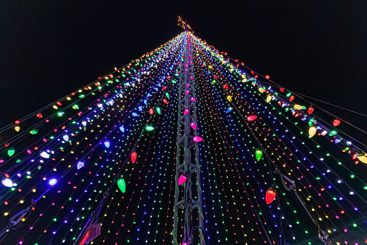 Lights of Life Tree Lighting