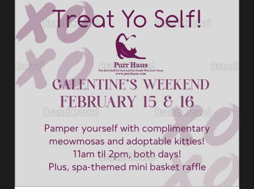 Galentine\u2019s Weekend!