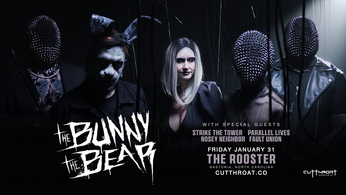 The Bunny The Bear | Gastonia, NC