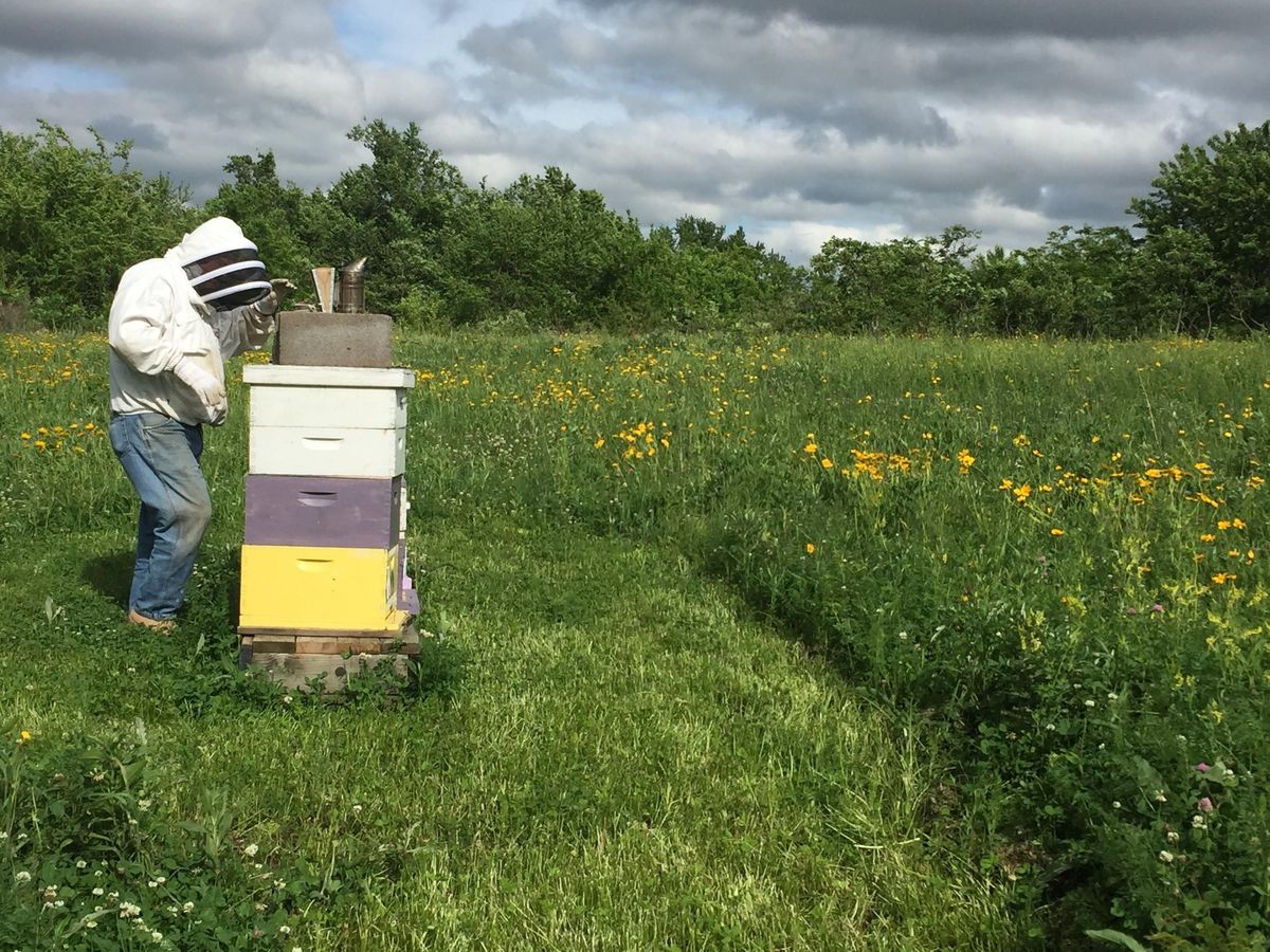 30th Annual Beginning Beekeeping Workshop