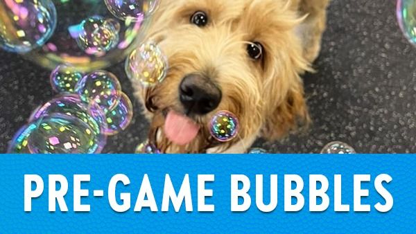 Puppy Bowl Pre-Game Bubble Party!