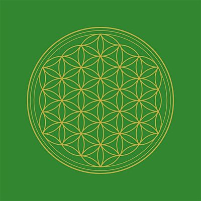 Dimitri Milanese Naturopata