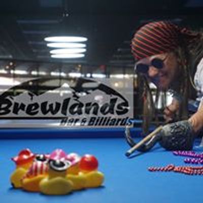 Brewlands Bar & Billiards Carrollwood