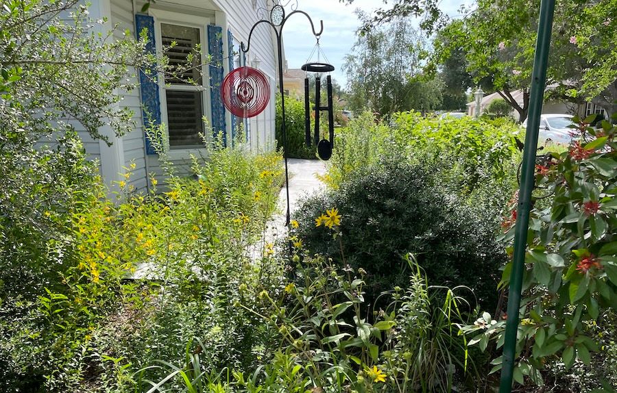 Monthly Meeting and Public Program: Florida Native Plant Garden Party