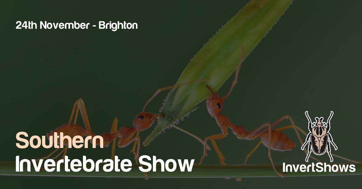 Southern Invertebrate Show 2024