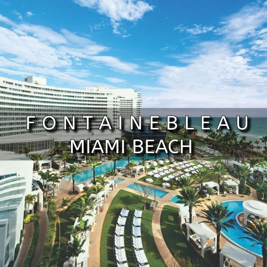Painting With A View at Fontainebleau Miami Beach !