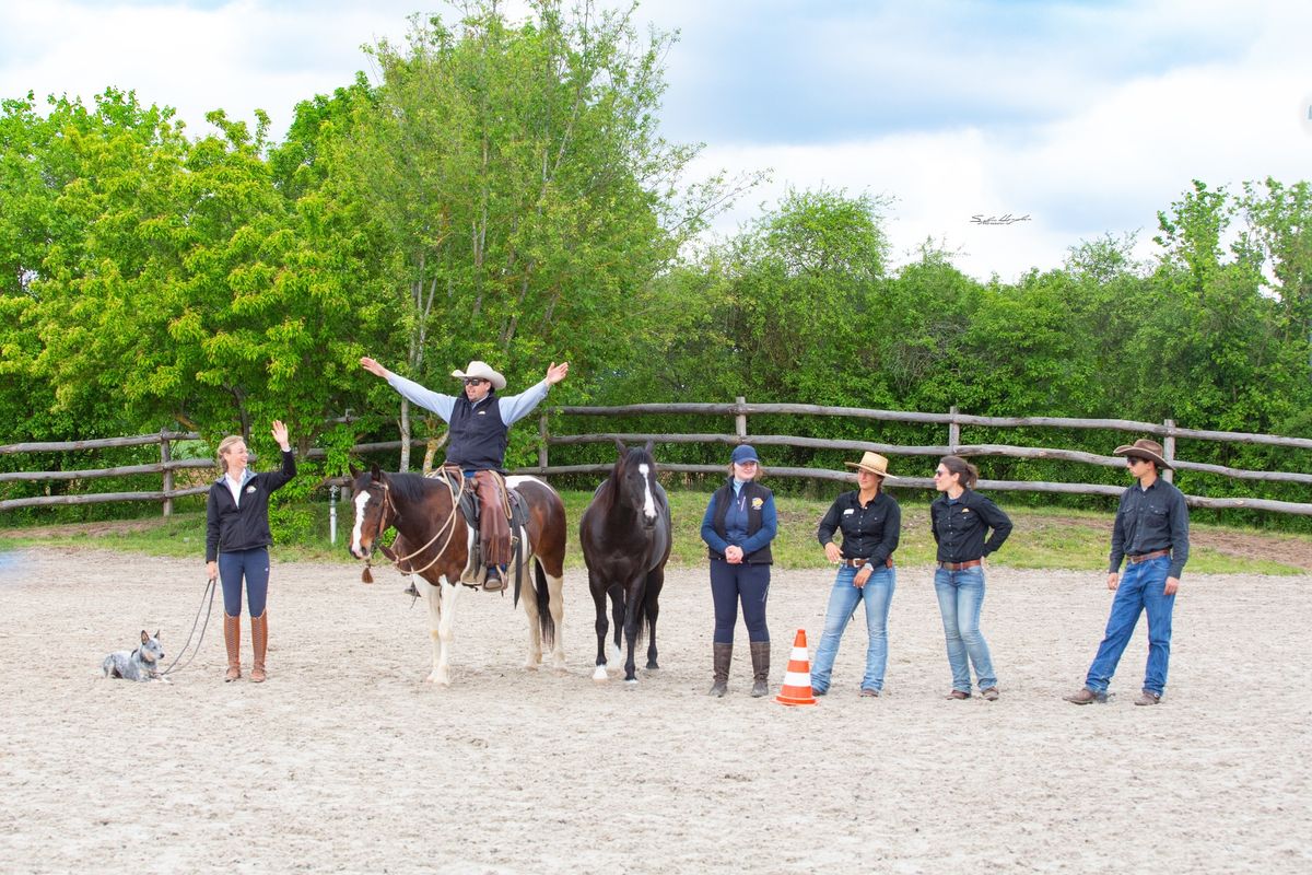 The Savvy Days- Dein Horsemanship Event in Bayern 