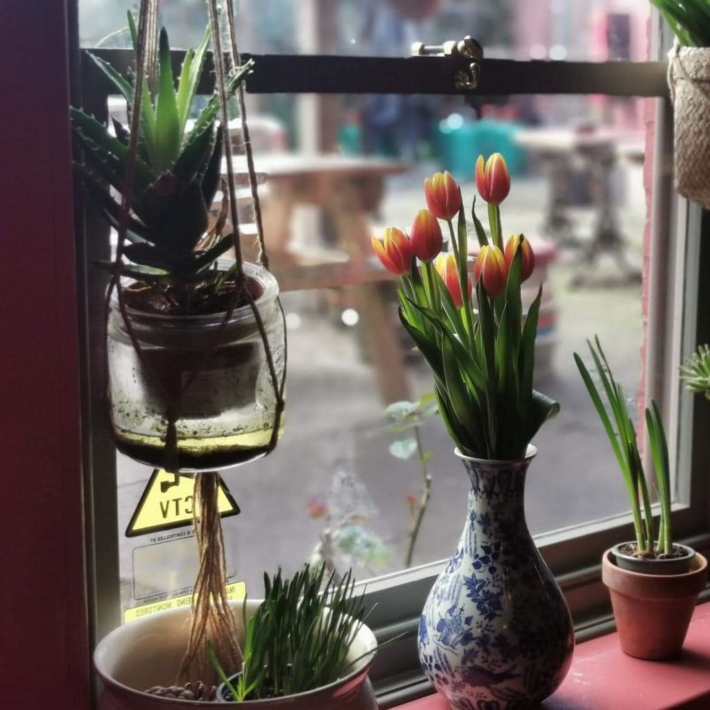 Palm Trees Over Pontefract Tickets, The Robin Hood, Wakefield, 9 July 2022