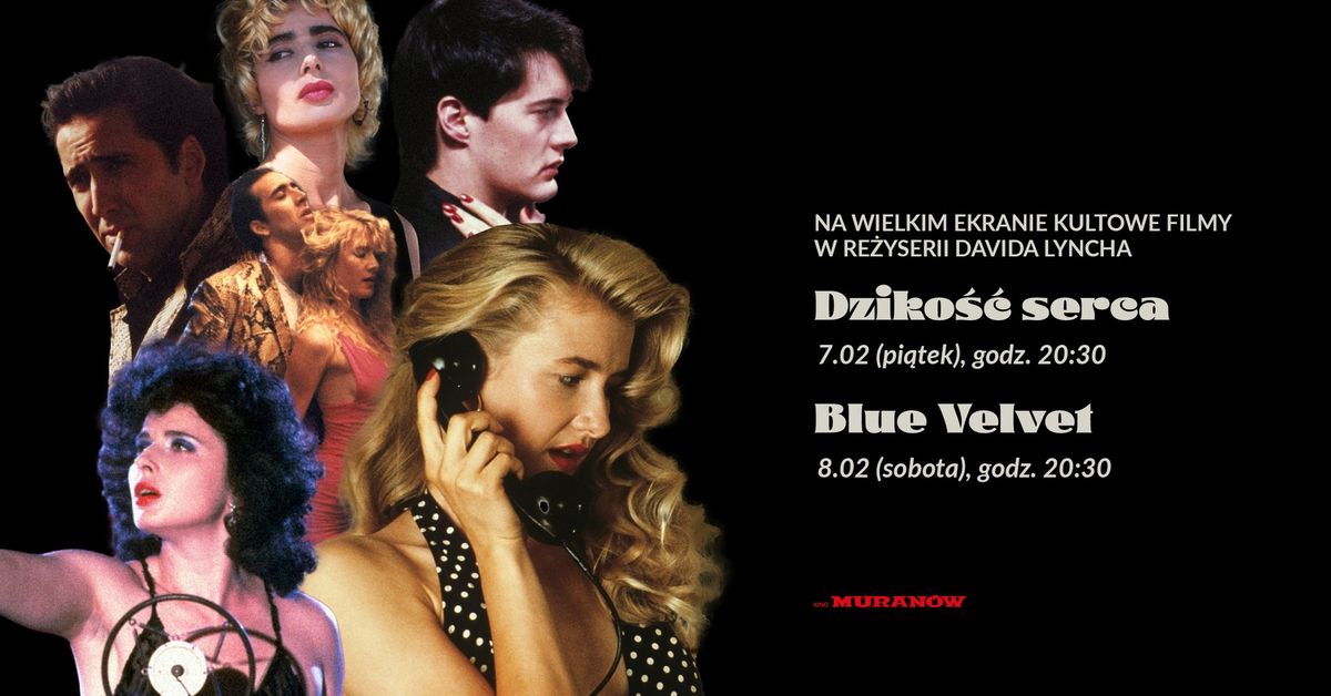 Na wielkim ekranie kultowe filmy Davida Lyncha | DZIKO\u015a\u0106 SERCA & BLUE VELVET w Kinie Muran\u00f3w