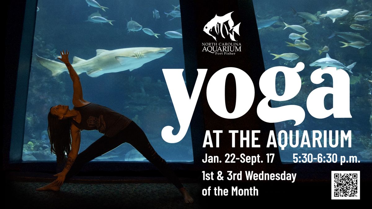 Yoga at the Aquarium