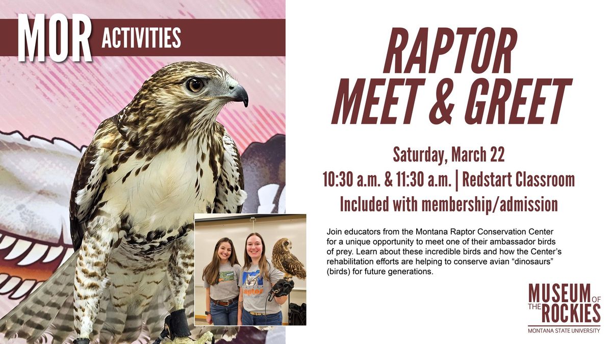 Raptor Meet & Greet